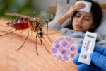 Waspada Malaria! Kenali Gejalanya Sebelum Terlambat
