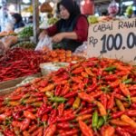 Harga cabai