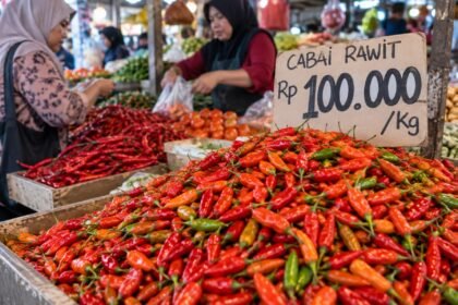 Harga cabai