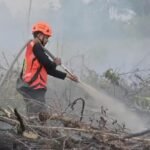 Izin 6 Perusahaan Dibekukan, 32 Korporasi Kena Sanksi Karhutla