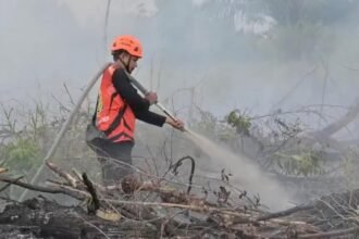 Izin 6 Perusahaan Dibekukan, 32 Korporasi Kena Sanksi Karhutla