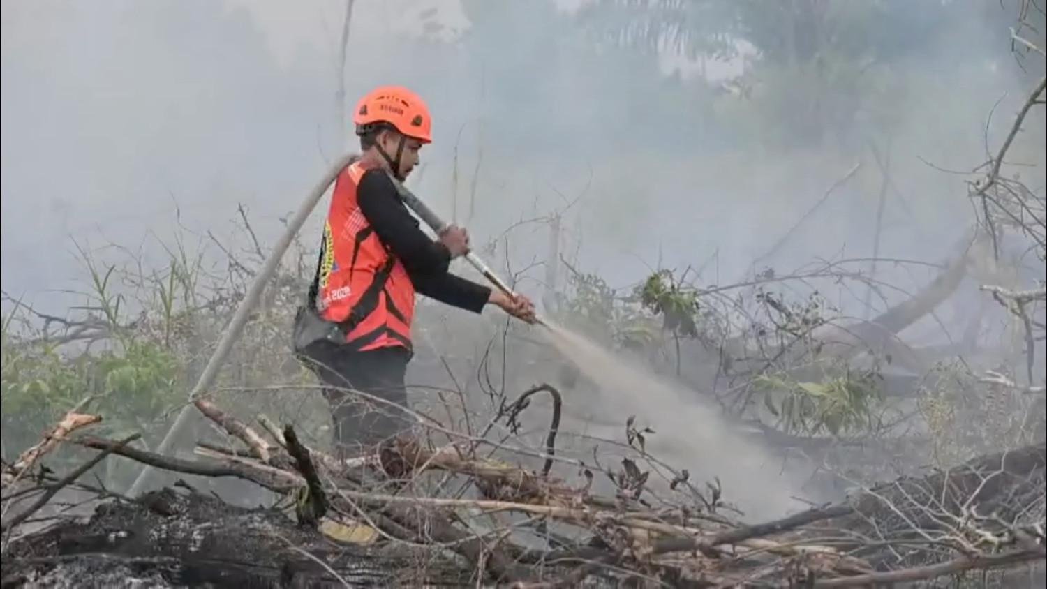 Izin 6 Perusahaan Dibekukan, 32 Korporasi Kena Sanksi Karhutla