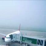 Kabut