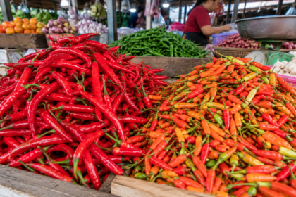 Harga Cabai di Lubuklinggau Tembus Rp80 Ribu per Kg