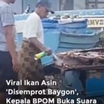 Geger Video Ikan Asin, BPOM Soroti Bahaya Residu Kimia