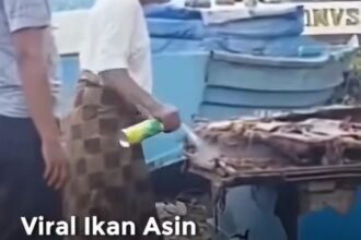 Geger Video Ikan Asin, BPOM Soroti Bahaya Residu Kimia