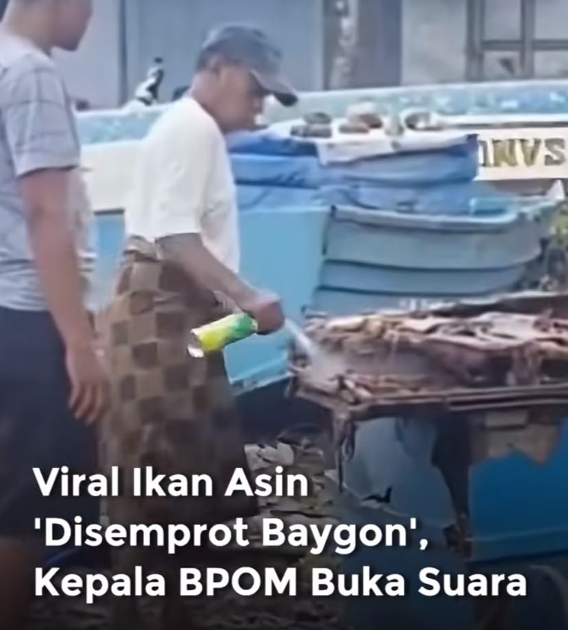 Geger Video Ikan Asin, BPOM Soroti Bahaya Residu Kimia