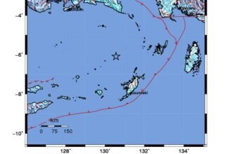 Gempa M6,4 Guncang Maluku, BMKG Ungkap Faktanya