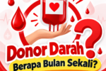 Donor darah