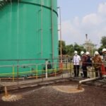 BRIN Bidik Energi dari Limbah Sawit, Potensi Listrik Capai 3,9 GW