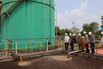 BRIN Bidik Energi dari Limbah Sawit, Potensi Listrik Capai 3,9 GW