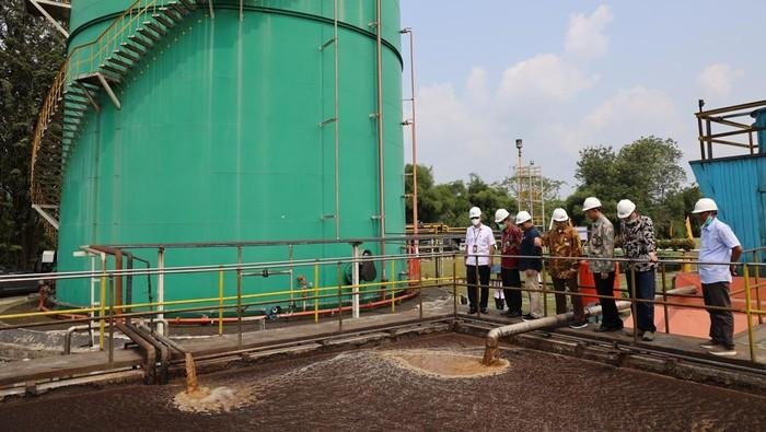 BRIN Bidik Energi dari Limbah Sawit, Potensi Listrik Capai 3,9 GW