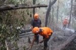 Kebakaran Gunung Bromo Tewaskan 4 Orang