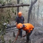 Kebakaran Gunung Bromo Tewaskan 4 Orang