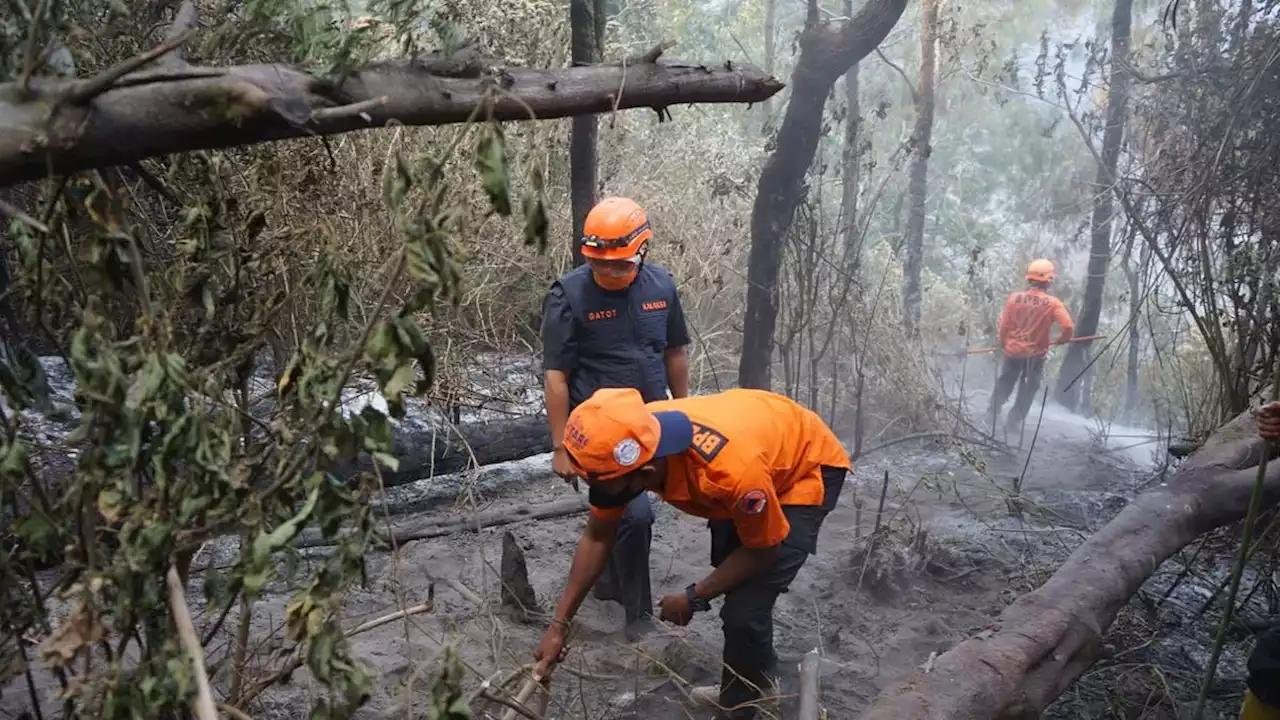 Kebakaran Gunung Bromo Tewaskan 4 Orang