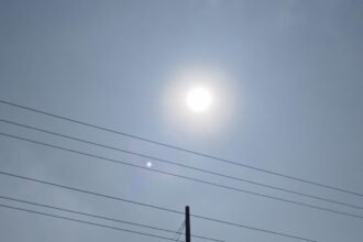 Panas Ekstrem Mengintai Sumsel, Warga Diminta Waspada Karhutla